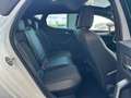 SEAT Leon FR e-Hybrid "LED/Pano/R-Kamera/VirtualC." Weiß - thumbnail 15