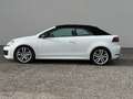Volkswagen Golf Cabriolet Golf Cabrio Sky BMT 2,0 TDI DPF DSG Weiß - thumbnail 3