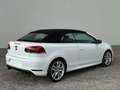 Volkswagen Golf Cabriolet Golf Cabrio Sky BMT 2,0 TDI DPF DSG Weiß - thumbnail 7