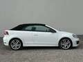 Volkswagen Golf Cabriolet Golf Cabrio Sky BMT 2,0 TDI DPF DSG Weiß - thumbnail 8