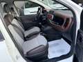 Fiat Panda New 4X4 1.3 M.JET 95 cv. CROSS Bianco - thumbnail 15