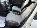 Fiat Panda New 4X4 1.3 M.JET 95 cv. CROSS Bianco - thumbnail 11