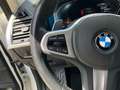 BMW X4 xDrive 20dA xLine Blanco - thumbnail 21