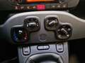 Fiat Panda Panda 1.0 FireFly S&S Hybrid Schwarz - thumbnail 10