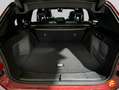 BMW X3 20d xDrive Burdeos - thumbnail 19