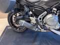 Kawasaki Wit - thumbnail 2