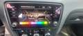 Skoda Octavia Octavia Combi 2,0 Style Limited TDI 4x4 DSG Style Limited Grau - thumbnail 14