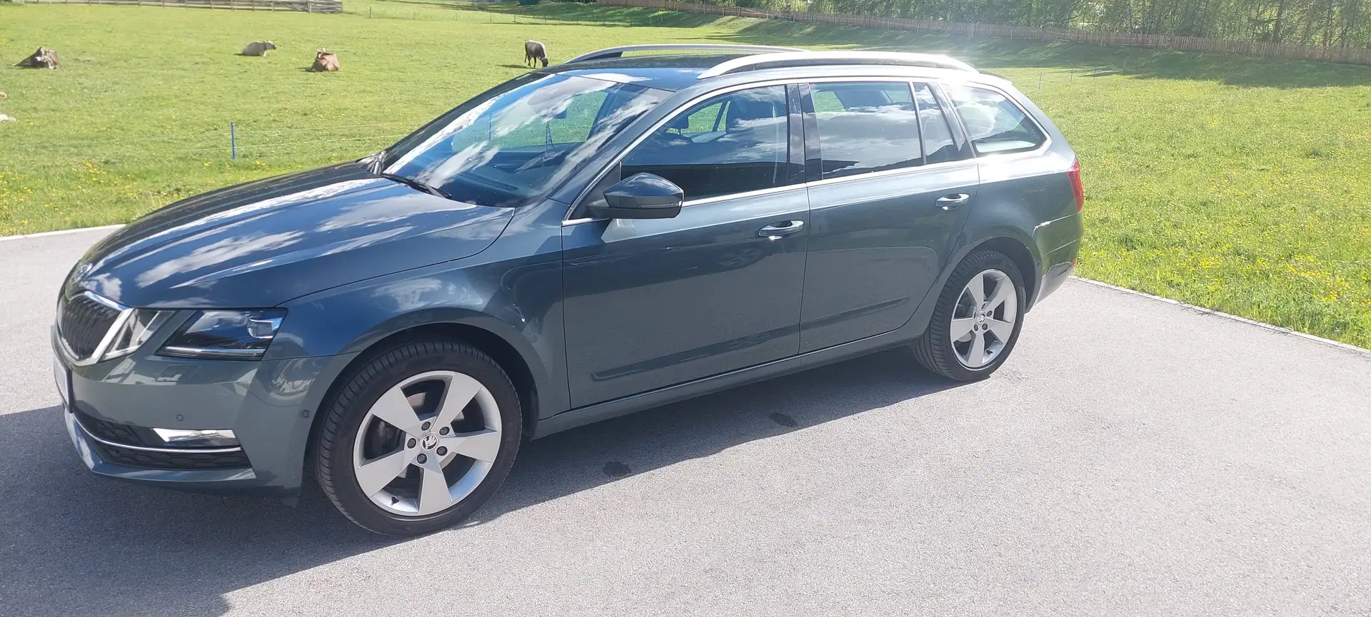 Skoda Octavia Octavia Combi 2,0 Style Limited TDI 4x4 DSG Style Limited Grau - 2