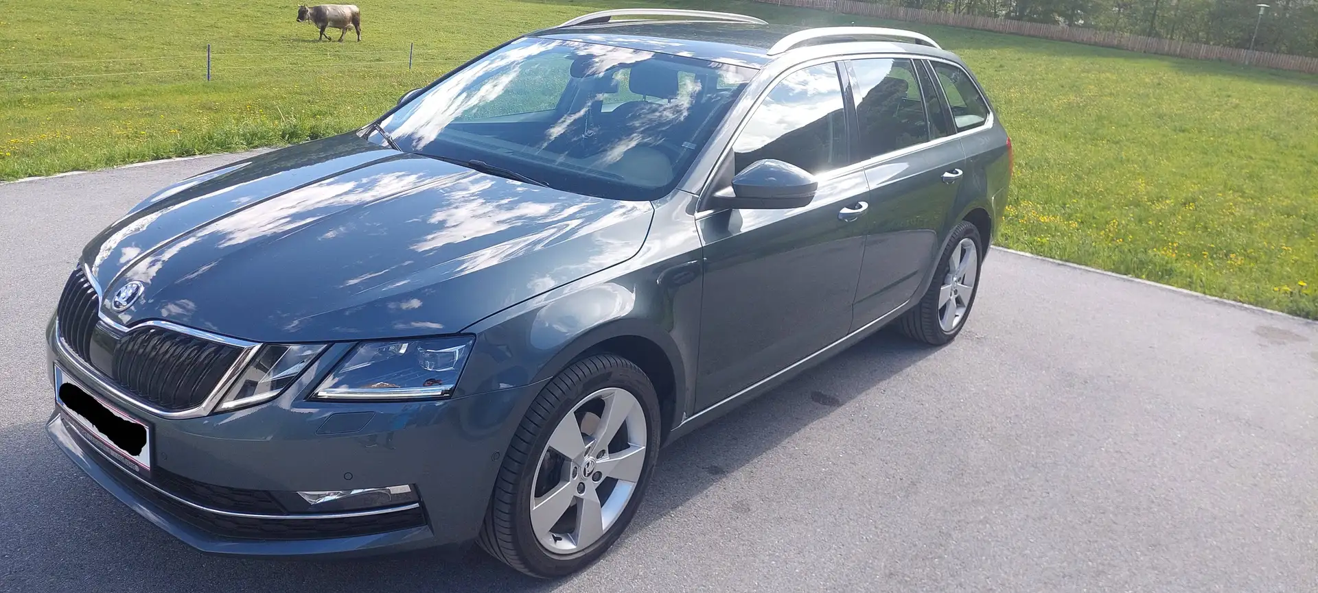 Skoda Octavia Octavia Combi 2,0 Style Limited TDI 4x4 DSG Style Limited Grau - 1