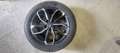 Skoda Octavia Octavia Combi 2,0 Style Limited TDI 4x4 DSG Style Limited Grau - thumbnail 20