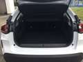 Citroen C4 1.2 PureTech 130 Plus SHZ, KAMERA, PDC Wit - thumbnail 17