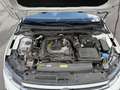 Volkswagen Polo 1.0 TSI Life DSG 70kW Blanc - thumbnail 19