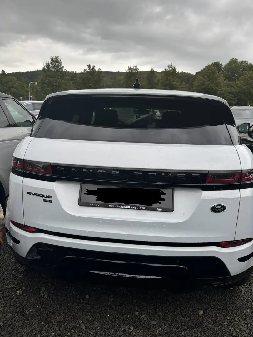 Land Rover Range Rover Evoque P300e R-Dynamic HSE , nog 18 maanden garantie …. - 2