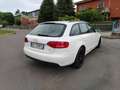 Audi A4 Avant 2.0 tdi Advanced Plus multitronic Bianco - thumbnail 5