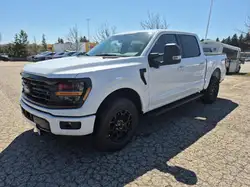 2026 Ford F 150