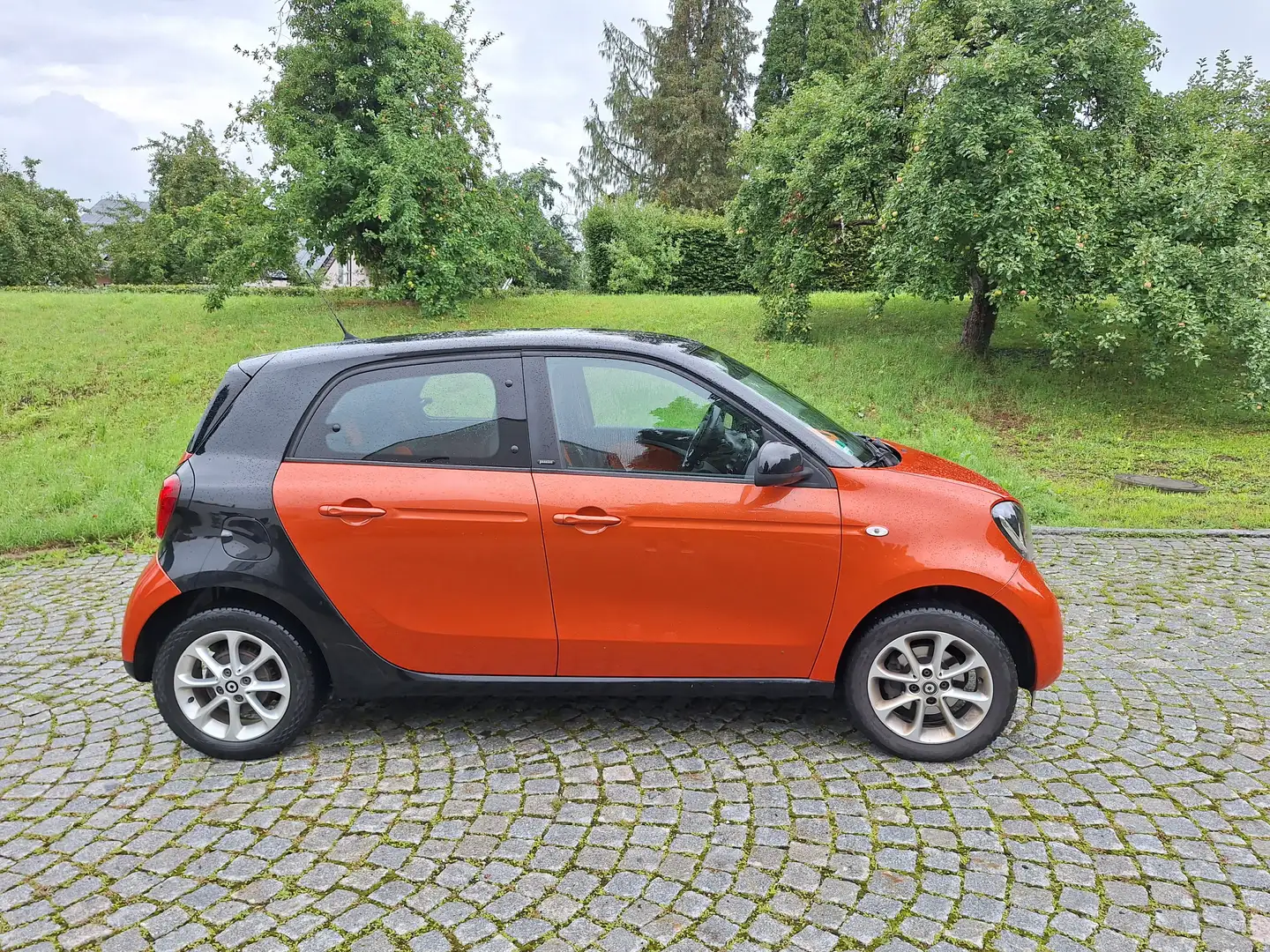 smart forFour smart forfour passion Orange - 2