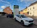 Skoda Enyaq ENYAQ LOUNGE PANO ACC NAVI Blanco - thumbnail 1