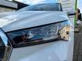 Skoda Enyaq ENYAQ LOUNGE PANO ACC NAVI Blanco - thumbnail 5