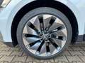 Skoda Enyaq ENYAQ LOUNGE PANO ACC NAVI Blanco - thumbnail 6