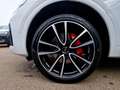 Audi Q5 S-Line 40 TFSI qu 21 AHK PANO STHZ Weiß - thumbnail 12