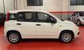 Fiat Panda Panda III 2012 1.2 Young 69cv Weiß - thumbnail 6