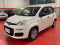 Fiat Panda Panda III 2012 1.2 Young 69cv Weiß - thumbnail 1