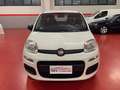 Fiat Panda Panda III 2012 1.2 Young 69cv Weiß - thumbnail 8