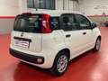 Fiat Panda Panda III 2012 1.2 Young 69cv Weiß - thumbnail 5