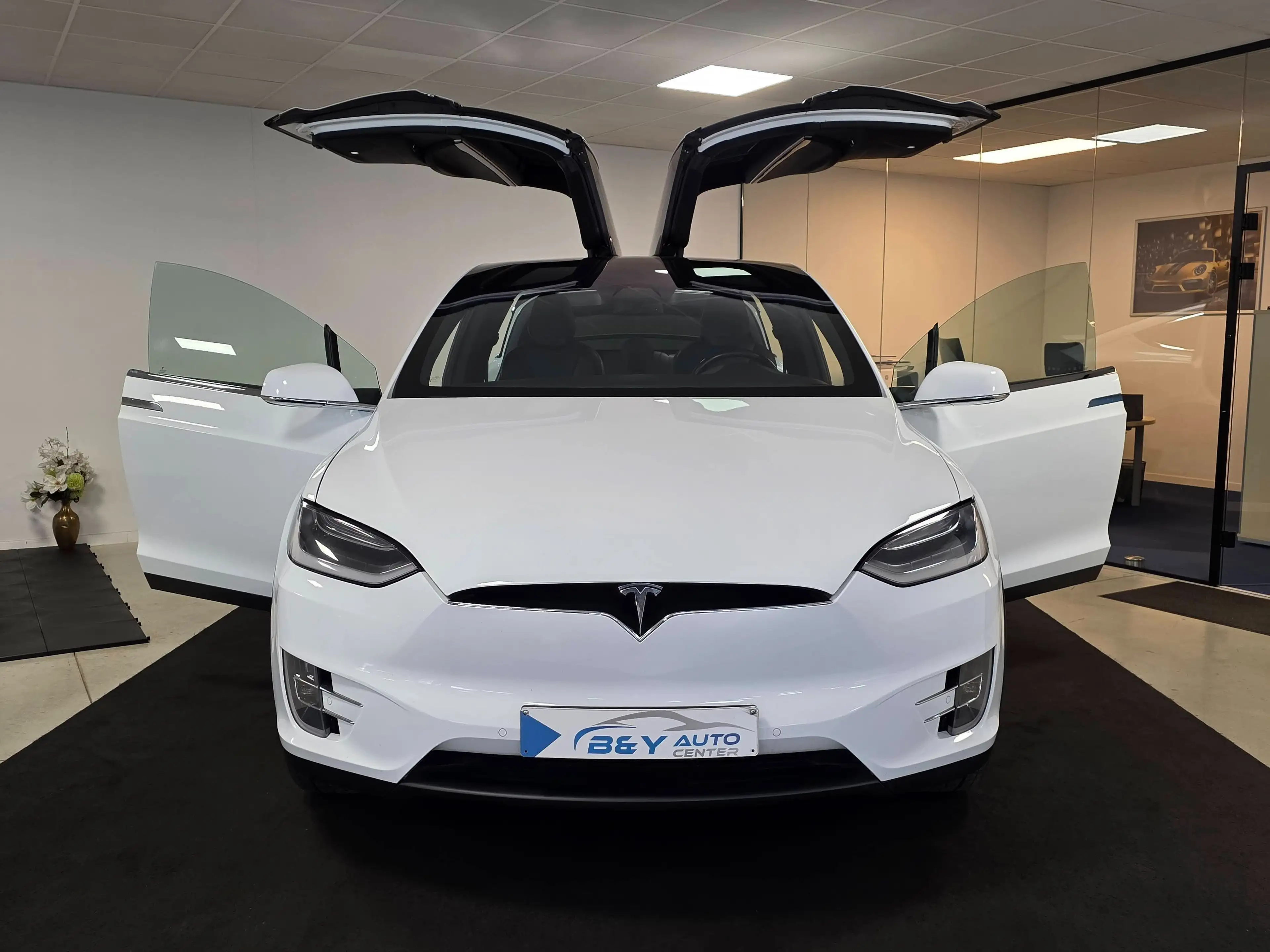 Tesla Model X 90D Dual Motor Premium Connectivity — photo 12