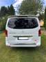 Mercedes-Benz Marco Polo 220 d ACTIVITY EDITION - thumbnail 5