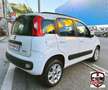 Fiat Panda Panda III 2012 0.9 t.air natural power Easy 80cv Bílá - thumbnail 4