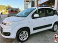 Fiat Panda Panda III 2012 0.9 t.air natural power Easy 80cv Bílá - thumbnail 3