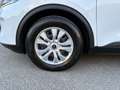 Ford Kuga Cool&Connect 1.5 Ecoboost Weiß - thumbnail 18
