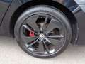 Skoda Octavia Combi RS 4x4, Standheizung, AHK Zwart - thumbnail 7