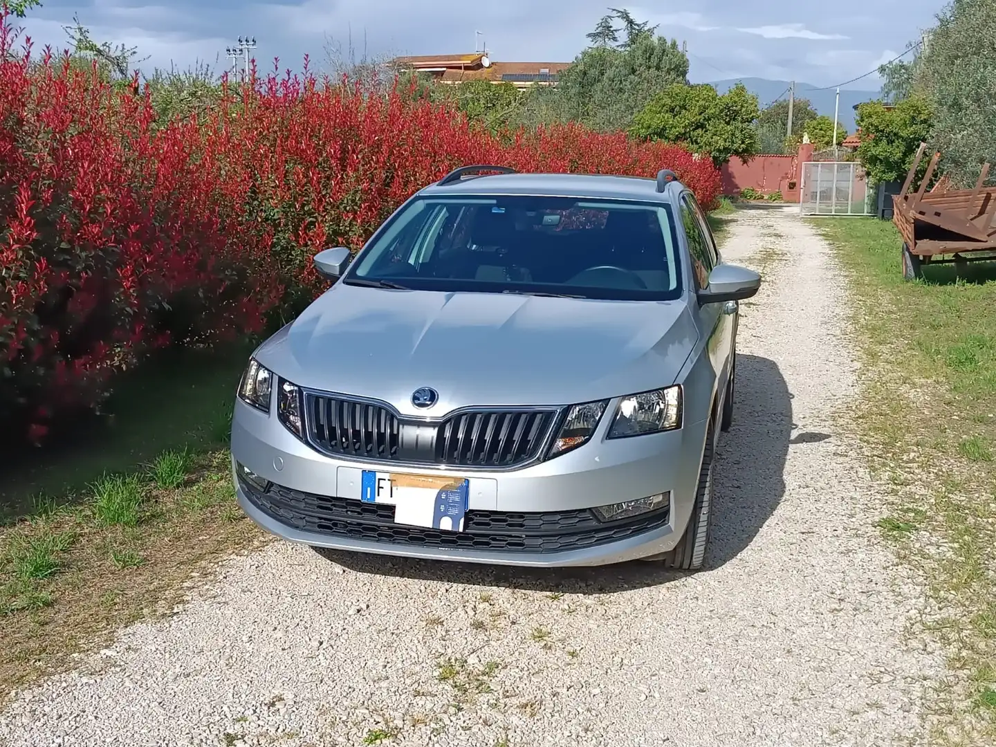 Skoda Octavia Octavia III 2017 2.0 tdi Executive 150cv dsg Grigio - 1