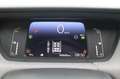 Honda Jazz 1.5 Crosstar eCVT Executive Argento - thumbnail 12