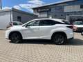 Lexus RX 450h E-Four Style Edition Kamera, LED, DAB Blanc - thumbnail 19