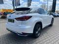 Lexus RX 450h E-Four Style Edition Kamera, LED, DAB Blanco - thumbnail 4