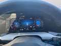 Volkswagen Golf VIII 2.0TDI Life LED STHZ Navi Rear View ACC DAB Argento - thumbnail 12