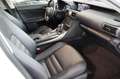 Lexus IS 300 h *1.Hand*Kamera - thumbnail 8