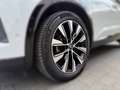 Renault Austral Techno, Winterpaket, Kamera, Garantie Blanc - thumbnail 8
