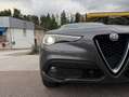 Alfa Romeo Stelvio STELVIO 2.2 TD 210CV AT8 Q4 SPORT Grijs - thumbnail 15