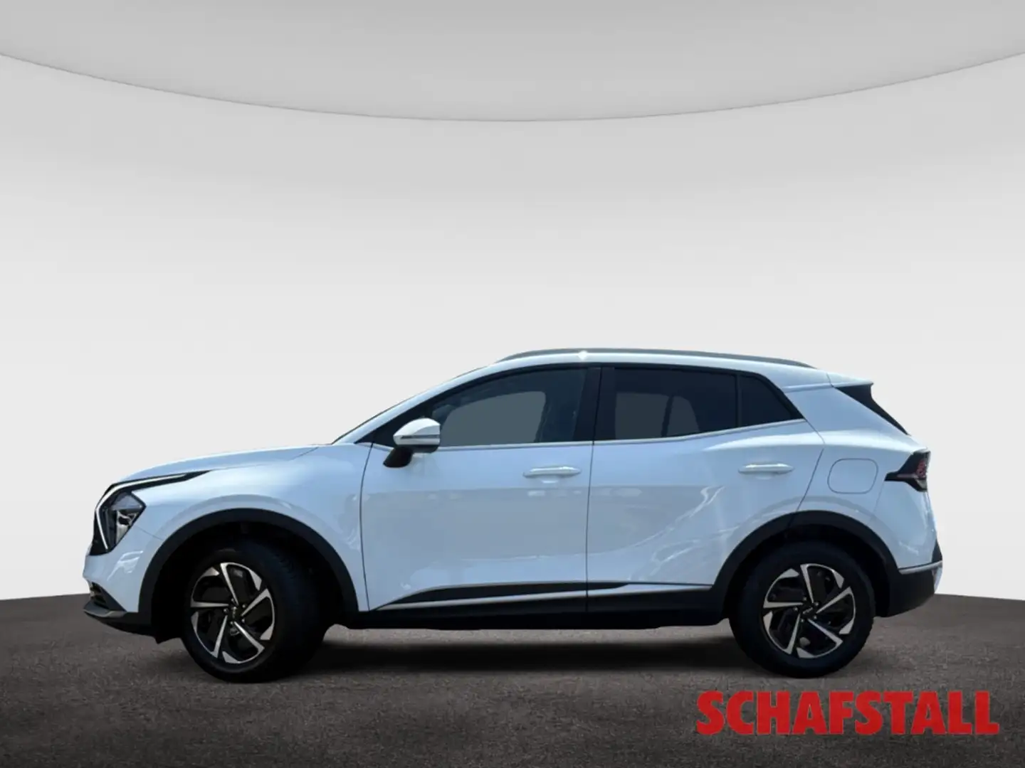 Kia Sportage 1.6T-GDI 48V AWD Vision DCT Navi Tempomat Kamera A Weiß - 2