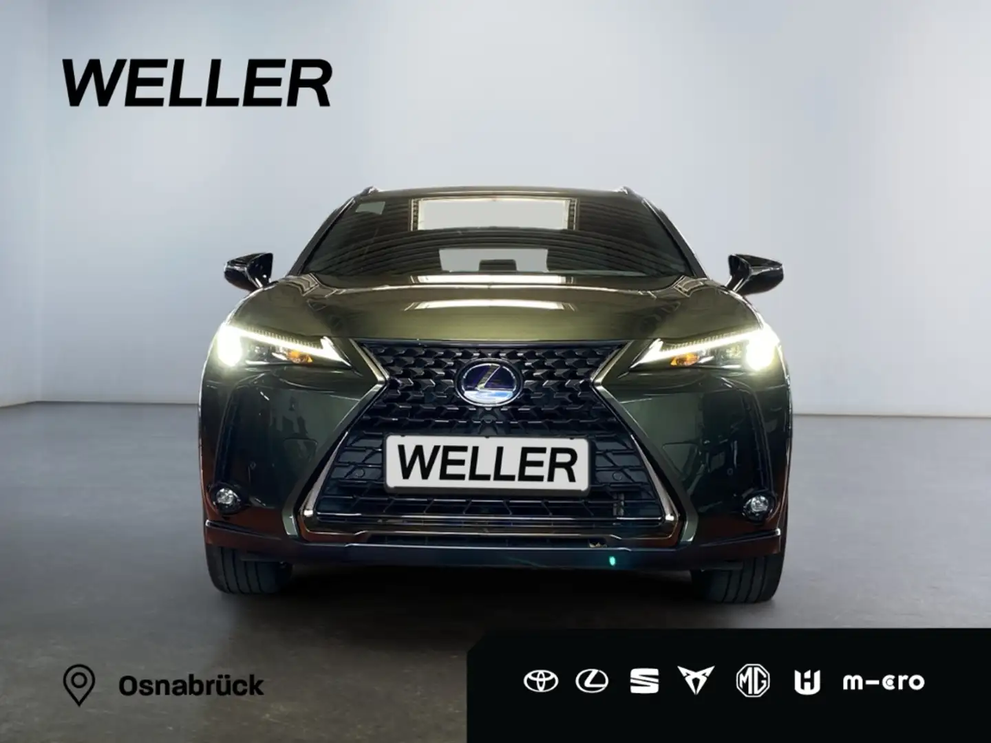 Lexus UX 250h Style+ Edition *Bi-LED*ACC*CAM*CarPlay* Grün - 2