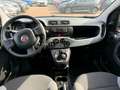 Fiat Panda 1.0 firefly hybrid City Life s Bleu - thumbnail 9