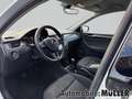 Skoda Rapid/Spaceback Spaceback Clever 1.0 TSI Klimaautom DAB SHZ Notbre Weiß - thumbnail 12