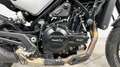 Benelli Leoncino 500 2021 - KM. 15000 Argento - thumbnail 7