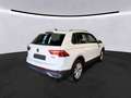 Volkswagen Tiguan 2.0 TDI DSG Elegance AHK Matrix Harman Weiß - thumbnail 4