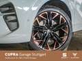 CUPRA Terramar VZ 2.0 TSI  DSG 195 kW Wit - thumbnail 13