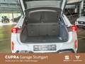 CUPRA Terramar VZ 2.0 TSI  DSG 195 kW Wit - thumbnail 12